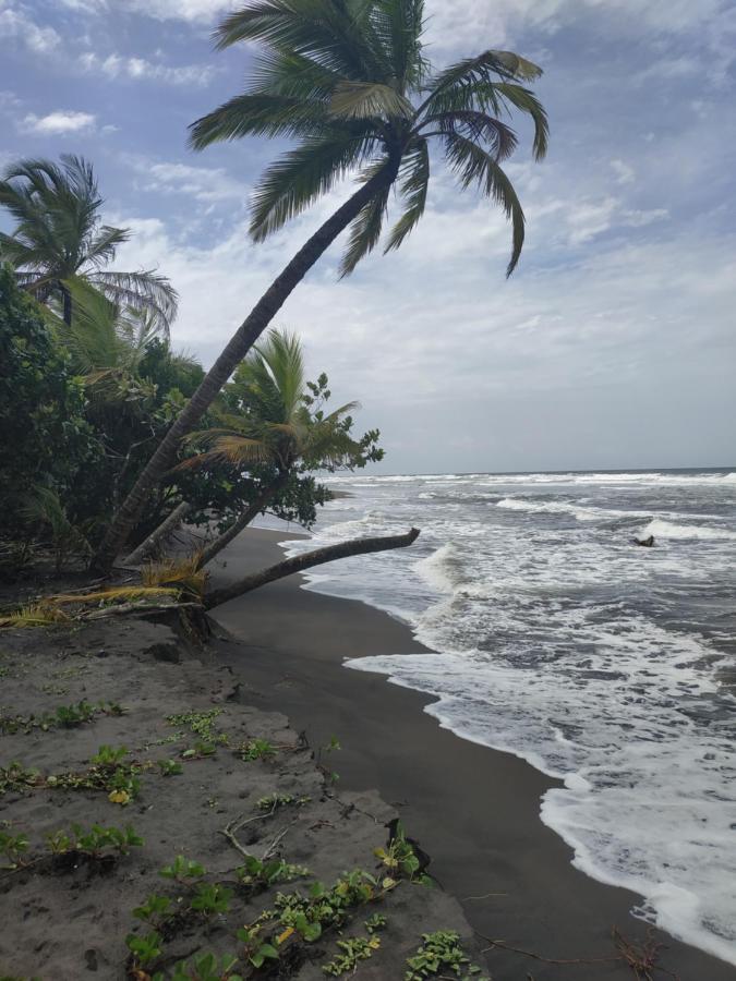 Budda Home Tortuguero Bagian luar foto