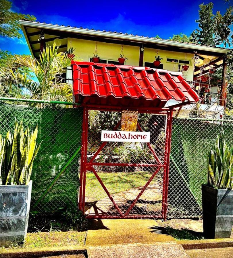 Budda Home Tortuguero Bagian luar foto